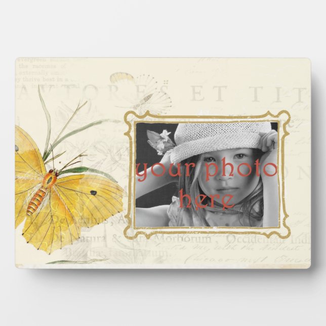 Papillon jaune 5 x 7 Plaque photo avec Easel (Devant)