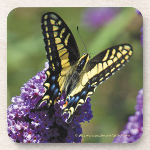 Papillon jaune I - ensemble de 6 dessous de verre