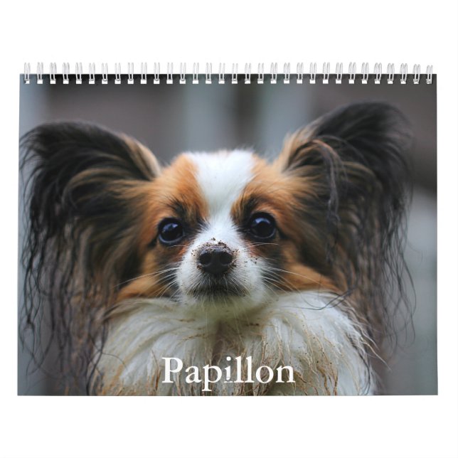 Papillon-Kalender Kalender (Titelbild)