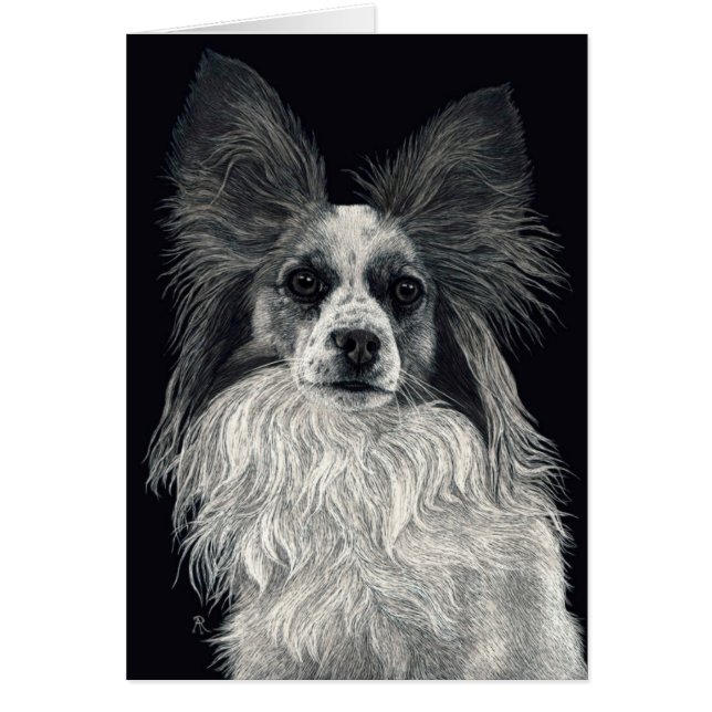 Papillon Karte - "Glitzern " (Vorne)