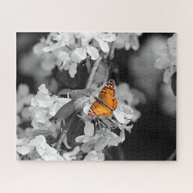 Papillon Lady Américain Sur Apple Blossom Puzzle (Horizontal)
