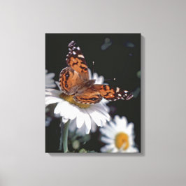 Papillon Lady Peint Américain Sur Toile De La Marg