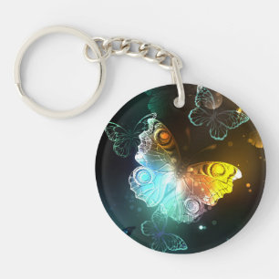 Papillon lumineux et papillons de nuit