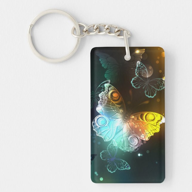 Papillon lumineux et papillons de nuit (Devant)