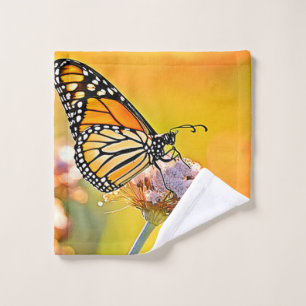 Papillon Majestic Gros plan