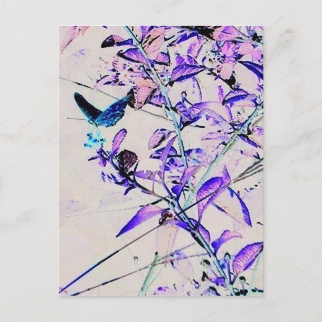 Papillon Mod - Carte postale (Devant)