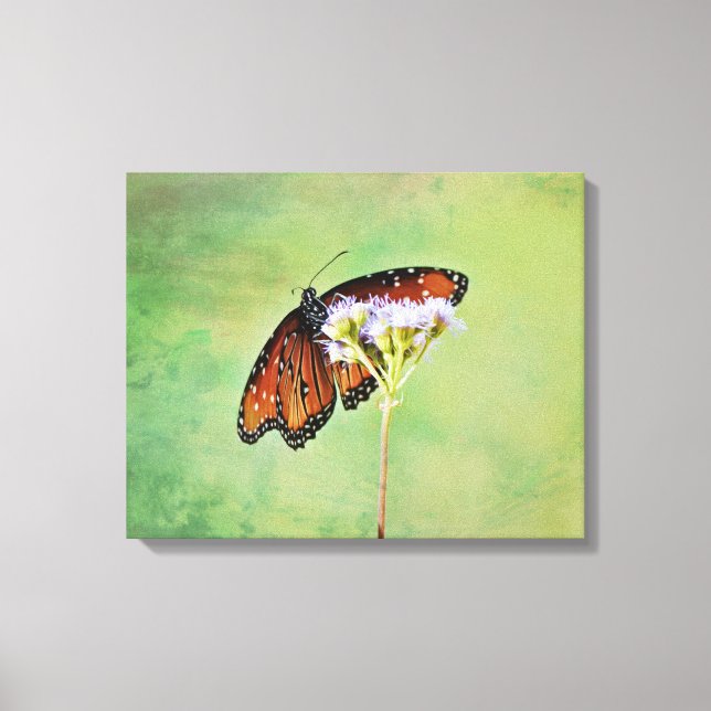 Papillon monarque et toile de Fleurs Imprimer (Recto)