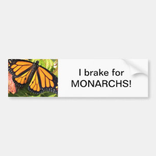 Papillon Monarque - Sticker