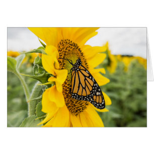 Papillon Monarque sur Carte pour notes de tourneso