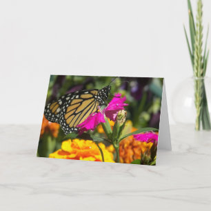 Papillon monarque sur cartes de voeux marigold ros
