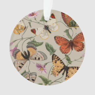 Papillon Moth Nature Collection Dessin