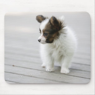 Papillon Mousepad
