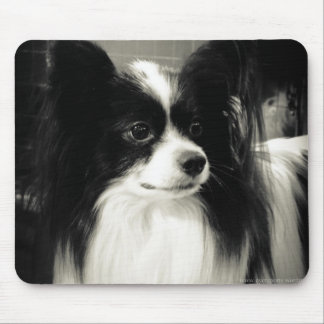 papillon mousepad