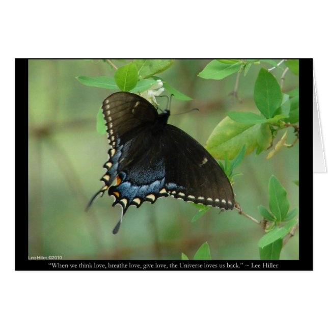 Papillon noir Swallowtail - Dons d'Amour & Vêtemen (Devant horizontal)