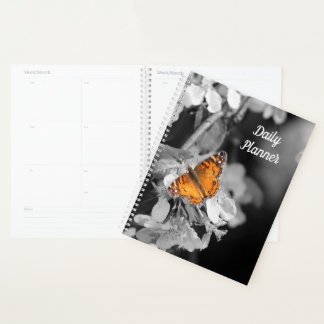 Papillon orange sur Apple Blossom Daily Planner