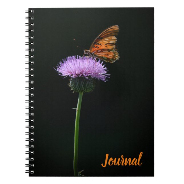 Papillon orange sur le Journal des fleurs violette (Devant)