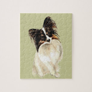 Papillon Papillon Dog Süße Tier