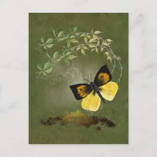 Papillon peint - Carte postale
