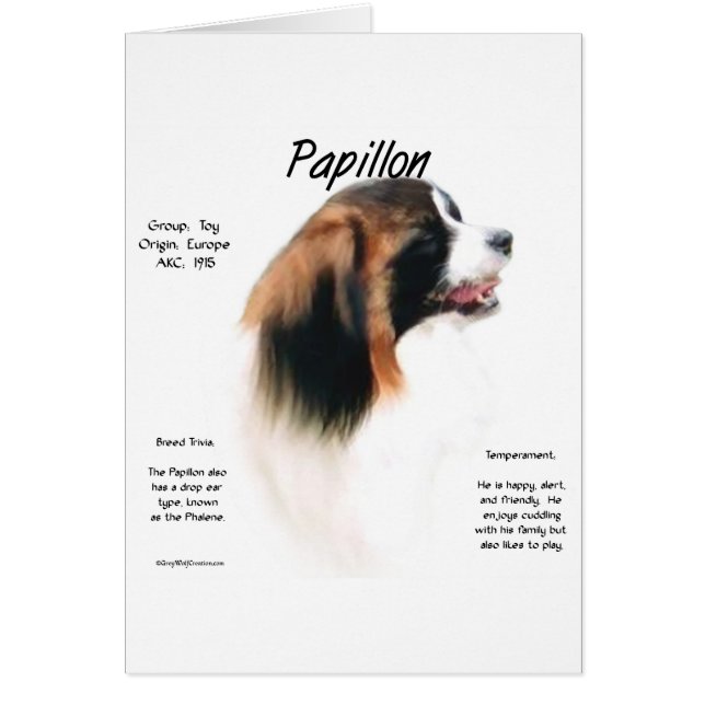 Papillon (Phalene) Geschichtsdesign (Vorne)