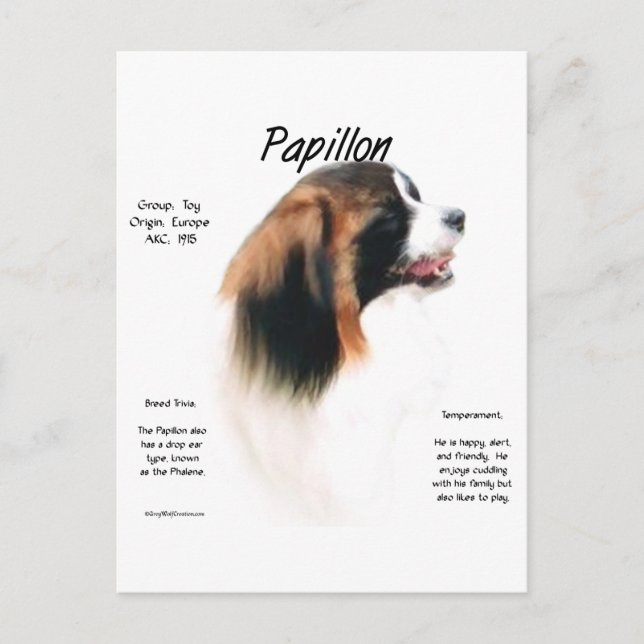 Papillon (Phalene) Geschichtsdesign Postkarte (Vorderseite)