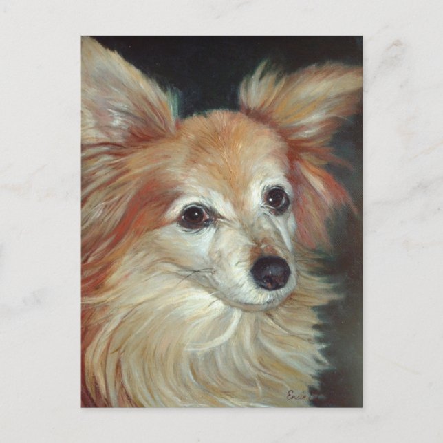 Papillon Postcard Postkarte (Vorderseite)