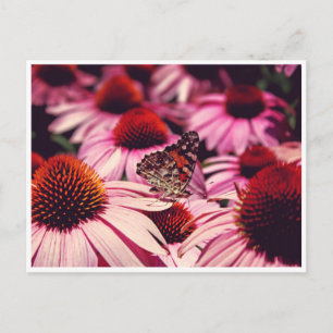 Papillon Postkarte