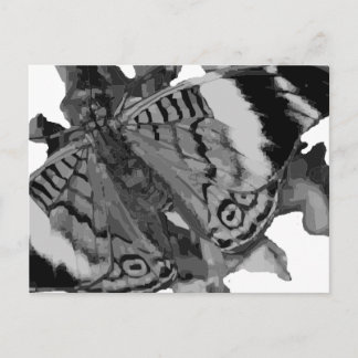Papillon Postkarte
