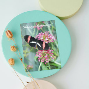 Papillon Postman sur Fleurs roses Carte d'annivers