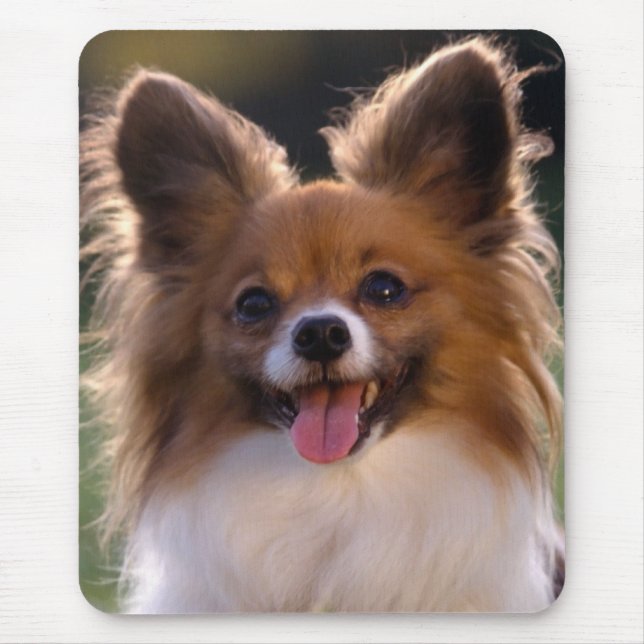 Papillon Puppy Mama Dog Lover Mama Welpen Mousepad (Vorne)