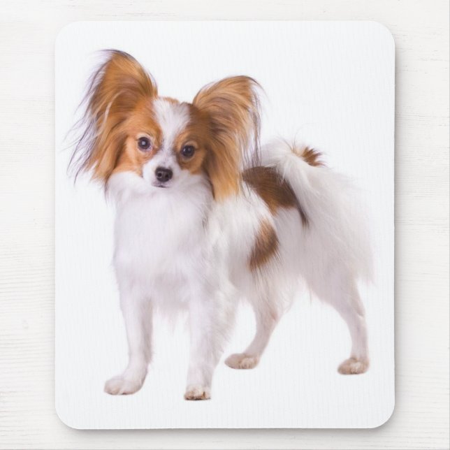 Papillon Puppy Mama Dog Lover Welpen Fur Mama Mousepad (Vorne)