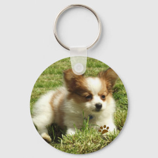 Papillon Puppy Schlüsselanhänger