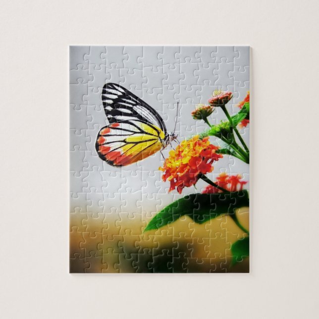 Papillon - Puzzles (Vertical)
