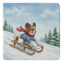 Papillon Schlittenfahren, Untersetzer