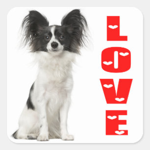 Papillon Schwarz-Weiß Welpen Hund - Liebe Welpen Quadratischer Aufkleber