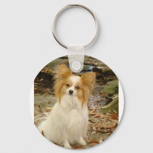 Papillon sitzend.png schlüsselanhänger