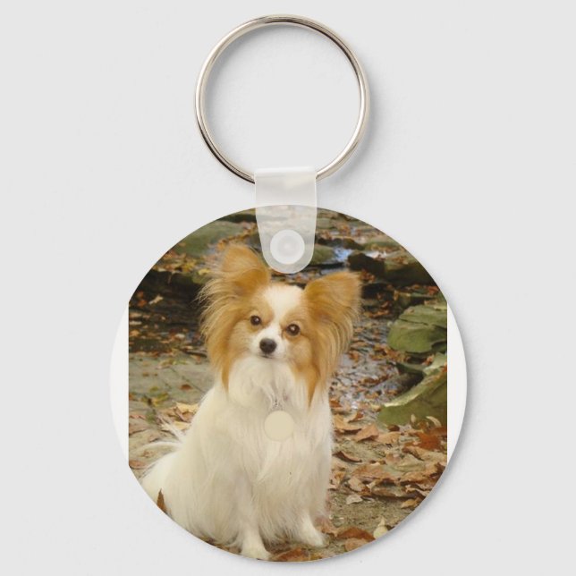 Papillon sitzend.png schlüsselanhänger (Vorderseite)