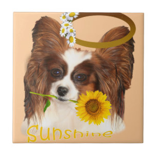 Papillon Sonnenschein Fliese