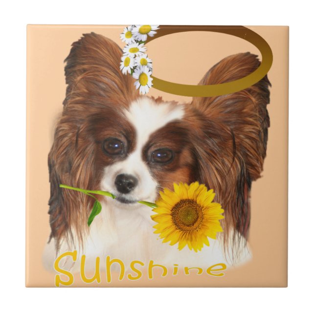Papillon Sonnenschein Fliese (Vorderseite)