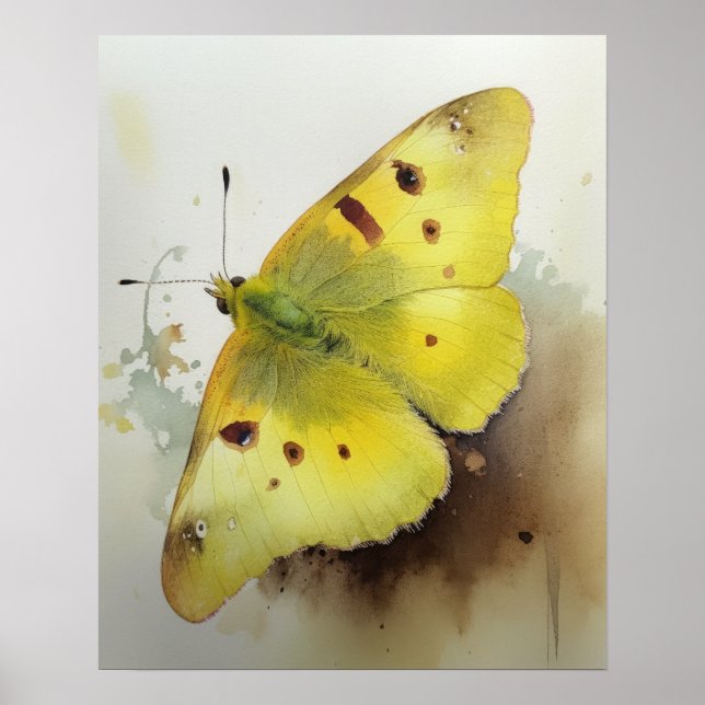 Papillon Sulfuré Nuageux Impression d'Art Affiche (Devant)