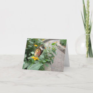 Papillon sur Fleurs de Lantana, carte de note blan