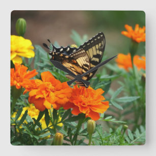Papillon sur horloge murale à fleurs orange et jau