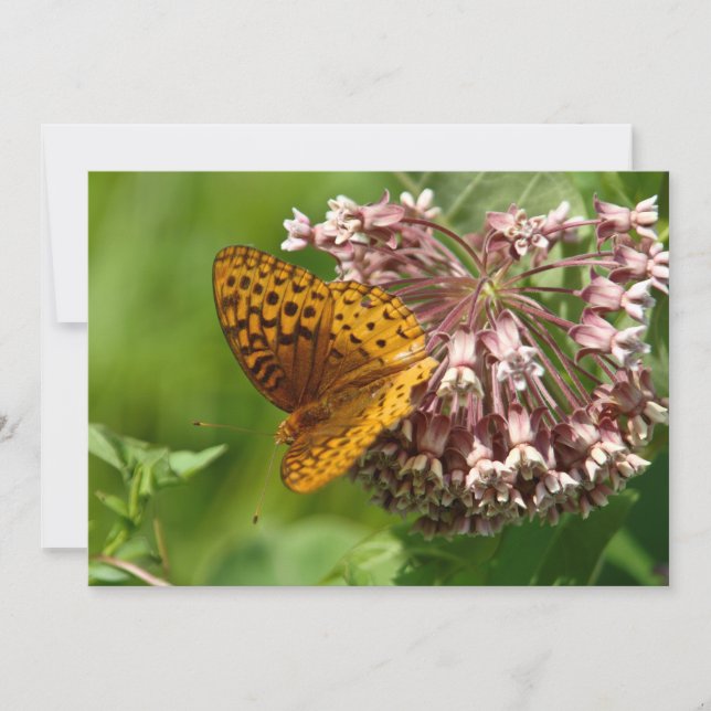 Papillon sur une algue - Carte de voeux plate (Devant)