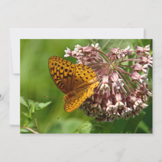 Papillon sur une algue - Carte de voeux plate
