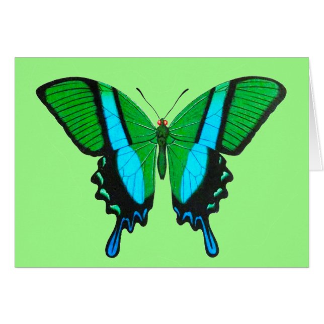 Papillon Swallowtail en vert, turquoise et noir (Devant Horizontal)