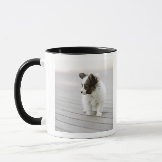 Papillon Tasse (Links)