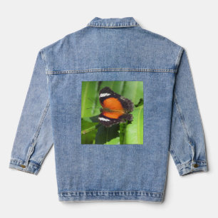 Papillon tropical