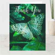 Papillon vert d'émeraude - Grand Carte de remercie