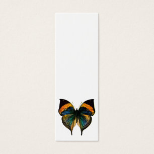 Papillon vintage - 1800's papillon antique Litho