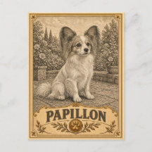 Papillon, Vintage-Hunderasse