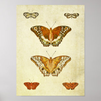 Papillon vintage Impression 280